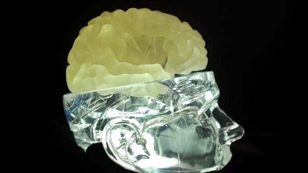 Crânio Humano de Vidro com cérebro impresso em 3D posicionado no lugar da tampa da cabeça.
